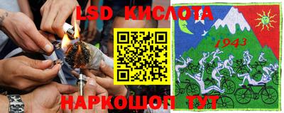 стафф Дубна