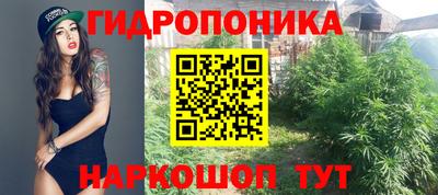 стафф Дубна