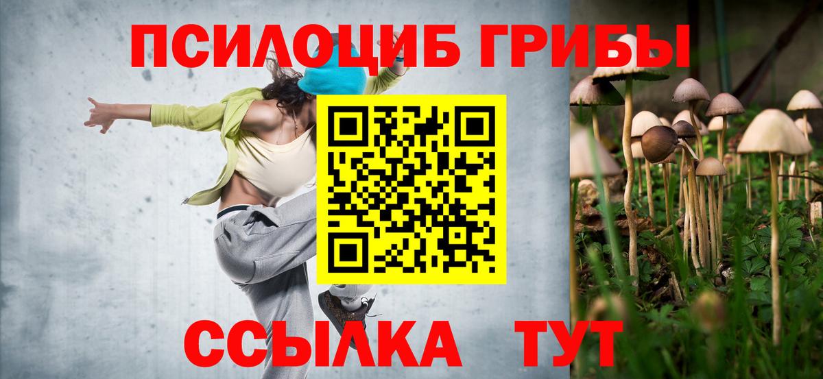 Галлюциногенные грибы Psilocybe Нефтекамск