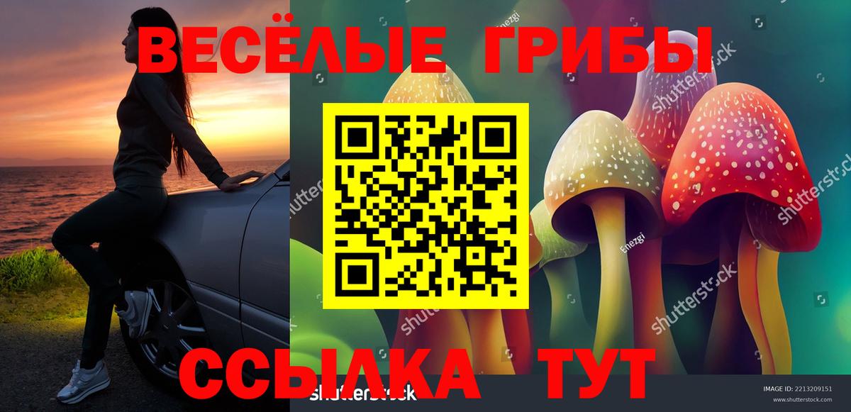 Псилоцибиновые грибы мицелий  Вход с VPN  Нефтекамск 
